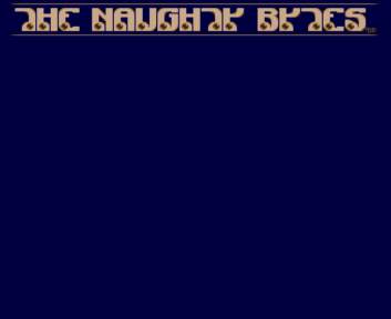 The Naughty Bytes