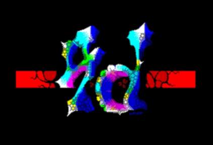 4d logo