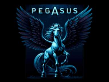 PEGASUS