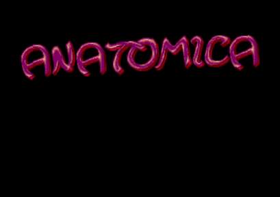 ANATOMICA