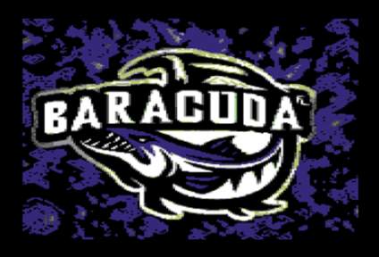 Baracuda