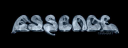 Essence logo