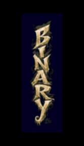 Binary logo