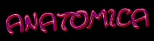 Anatomica logo