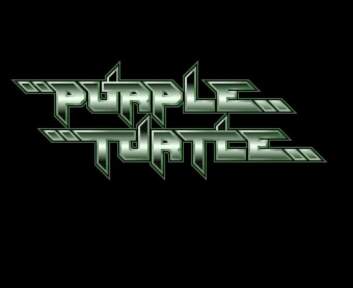 Purple Turtle logo