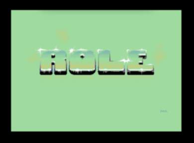 Role