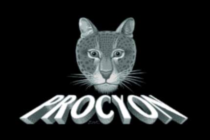 Procyon logo