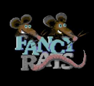 Fancy Rats